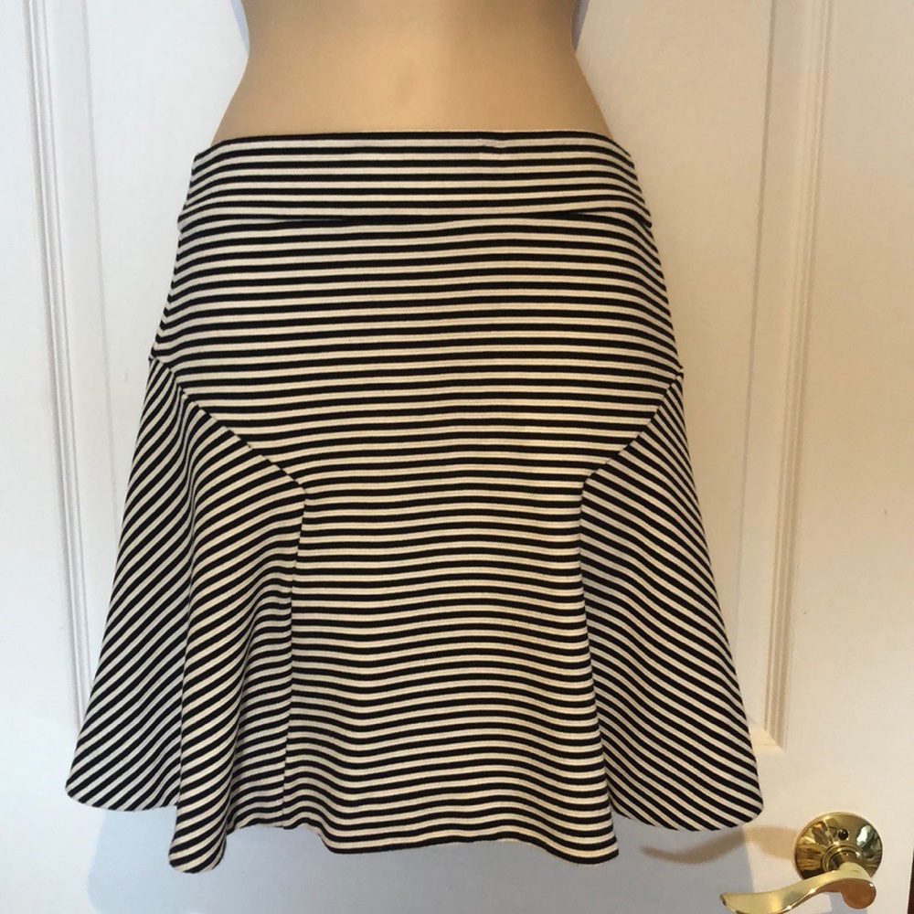 Express A-line Skirt
